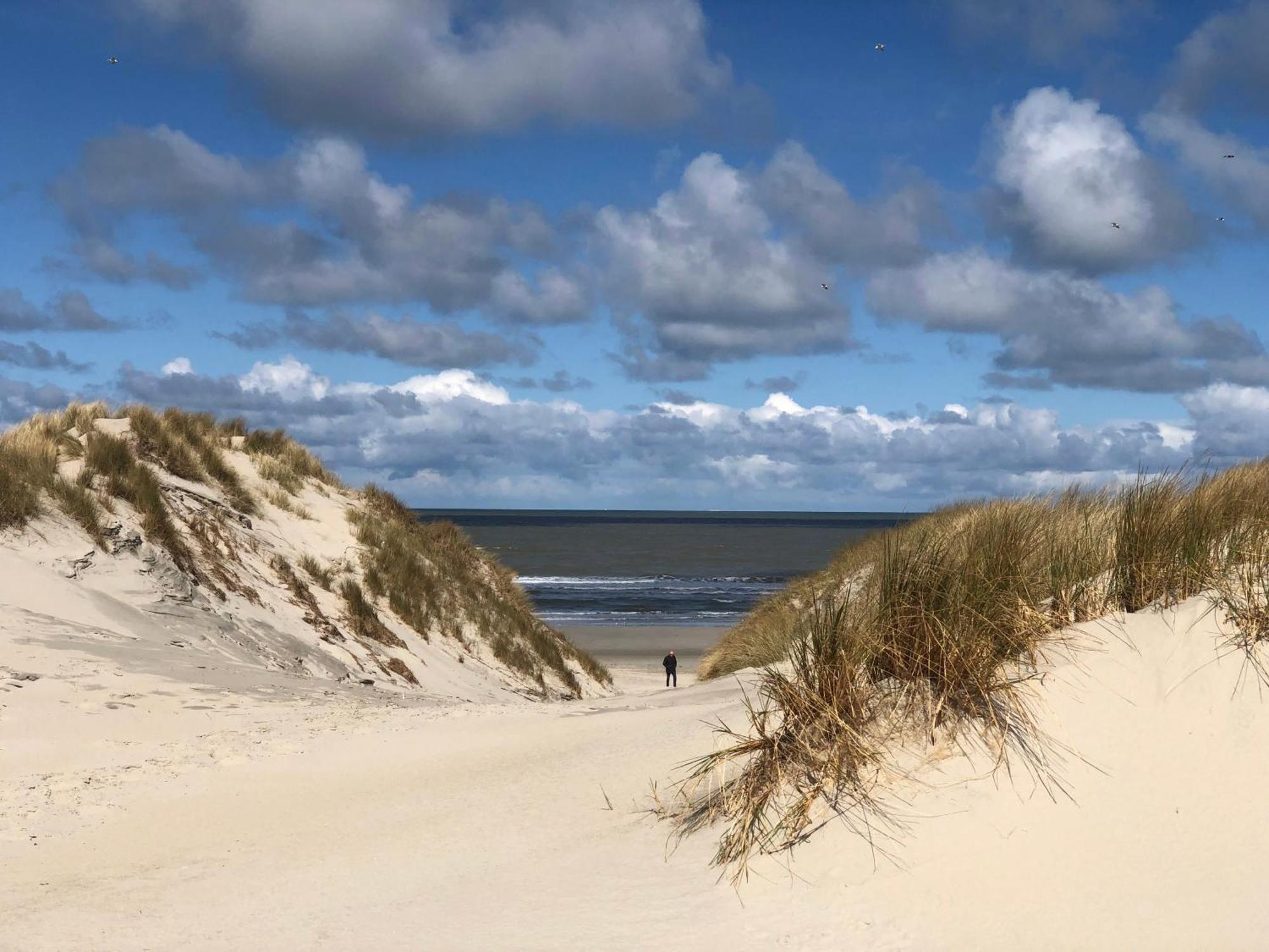 Ballumerhoeve Petit Lodge Eksteriør billede